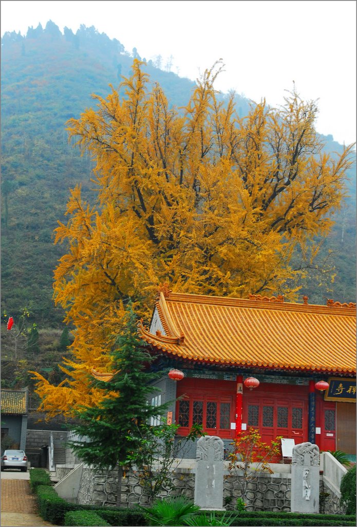 Chang'an, Xi'an, Shaanxi, China by go2photo