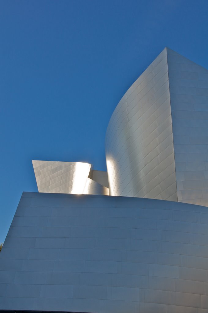 Walt Disney Concert Hall Detail 021 by MGoerg