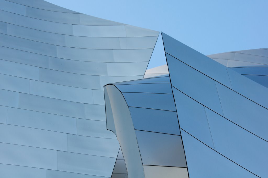 Walt Disney Concert Hall Detail 010 by MGoerg