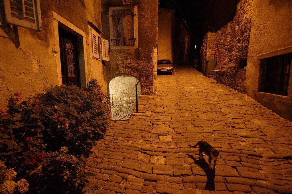 Night Cat of Motovun by Stan Novotny