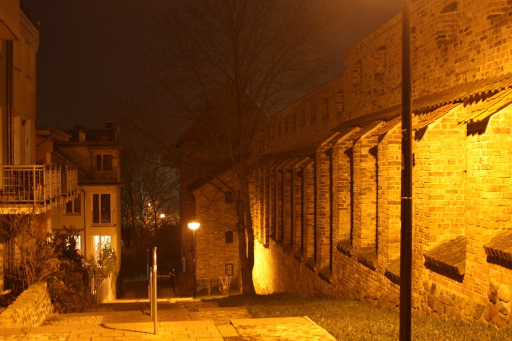 An der Stadtmauer beim Kuhtor (nachts) by Andreas Kröppelien E…