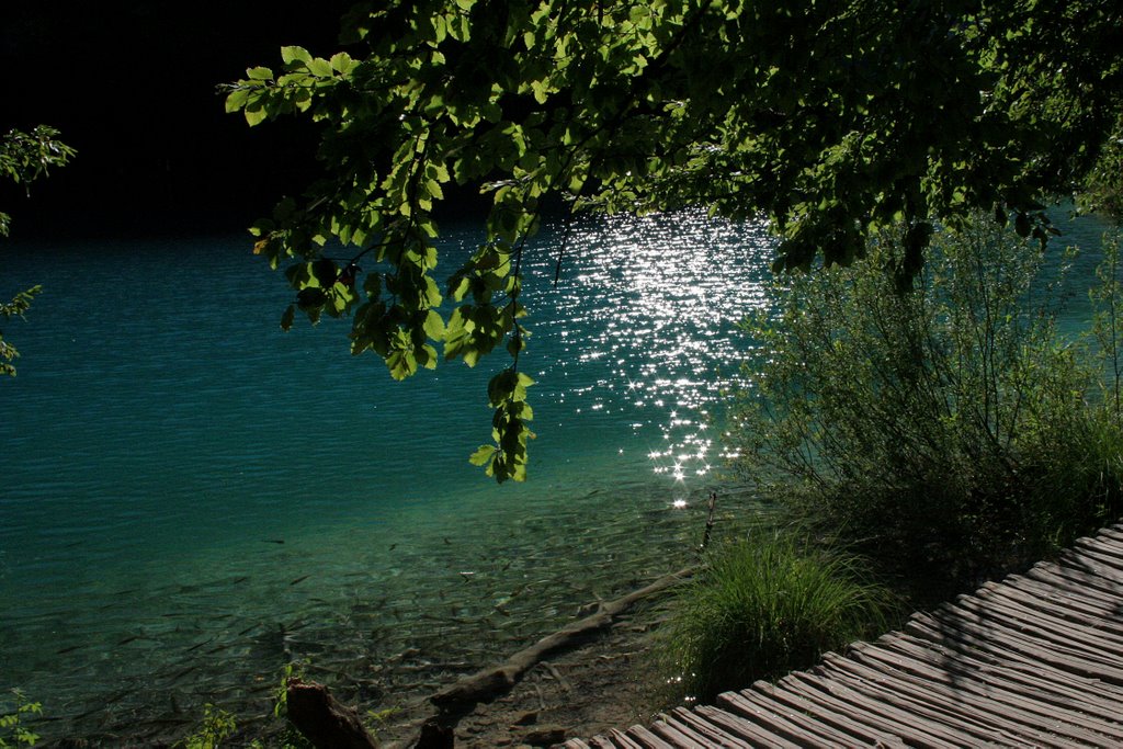 Plitvice by rognini andrea