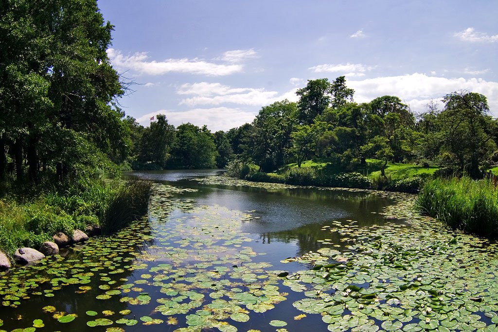 Botanical Gardens, Copenhagen by nadnerb