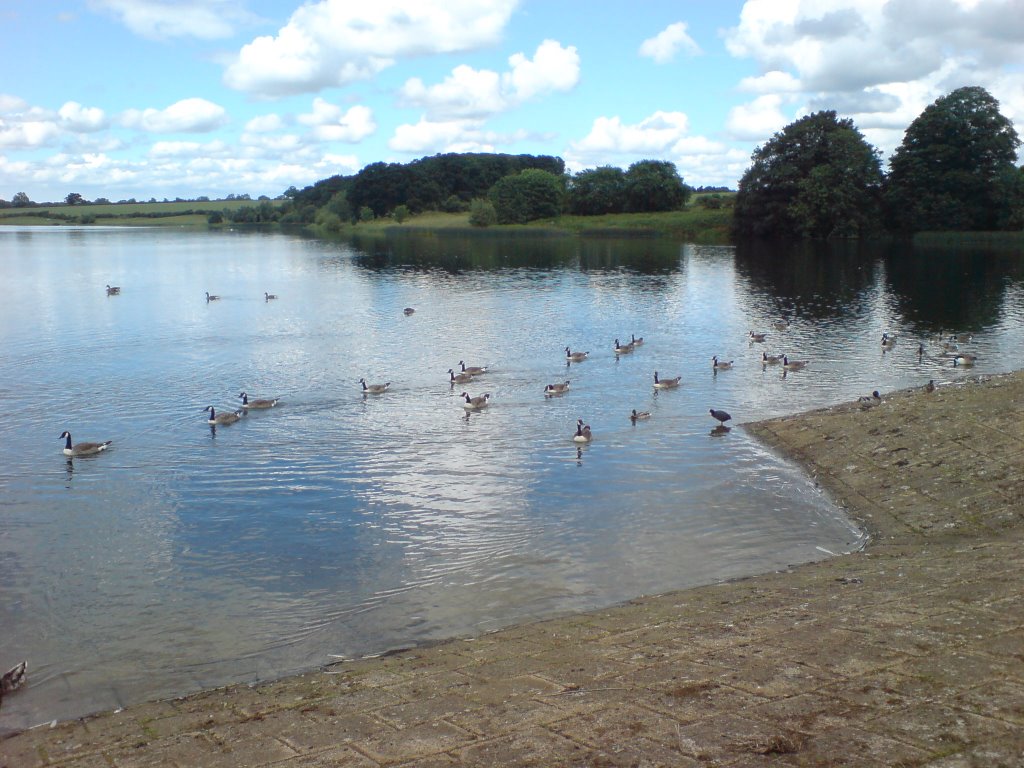 Syllwell Country Park by jarry07