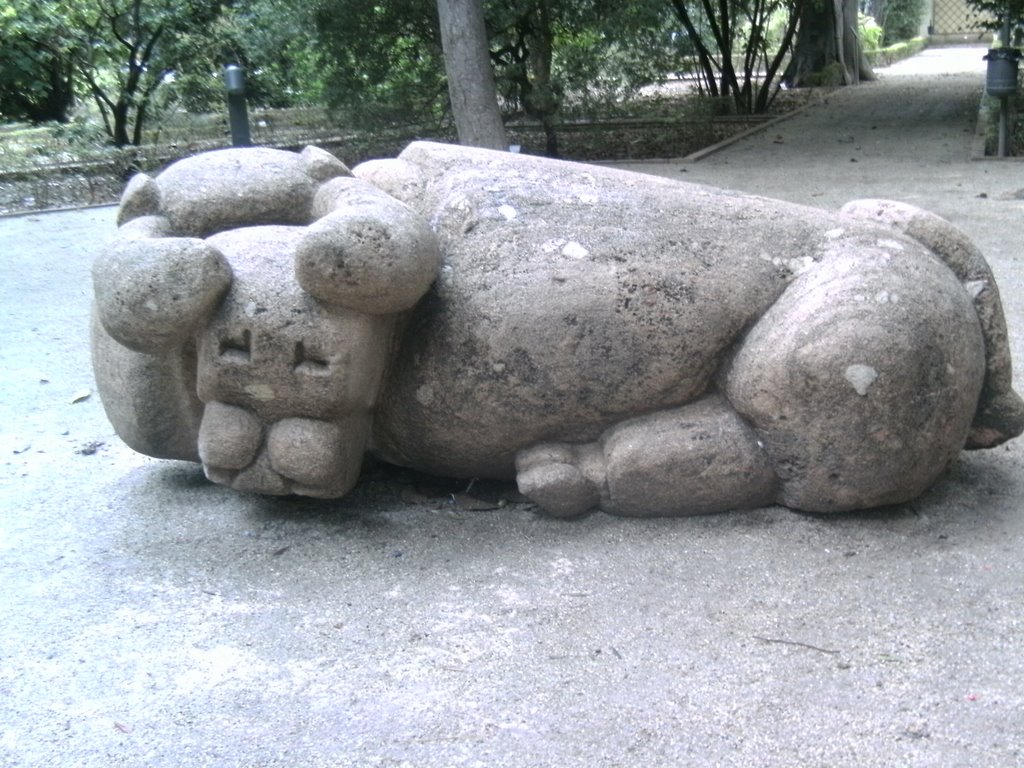 A bull, botanical gardens, valencia by boss_hogg