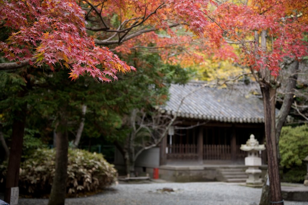 Kamakura Daibutsu (鎌倉大仏) by Stanley Chan