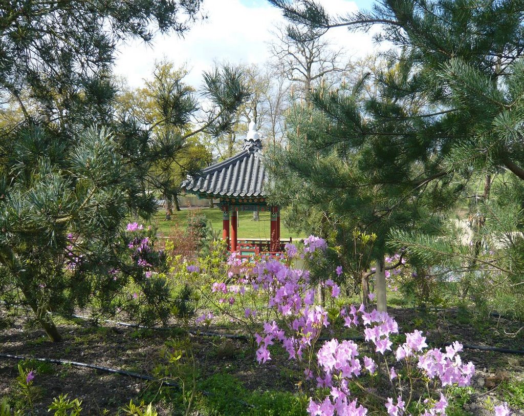 Pagode au parc. nantes blottereau. by groslolo