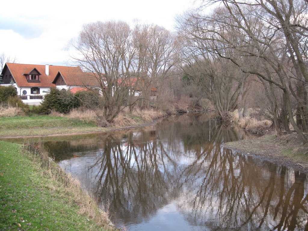 Mündung Braunau - Lainsitz by uwesch70