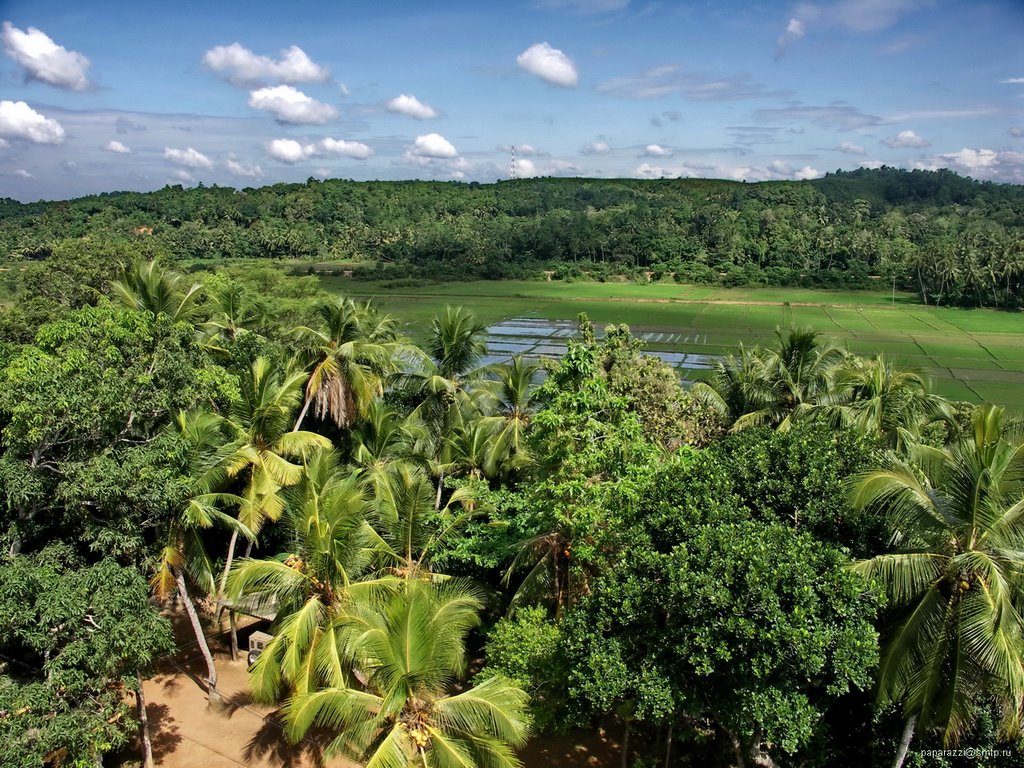 Sri Lanka Matara Veherahena by Paparazzi Stas