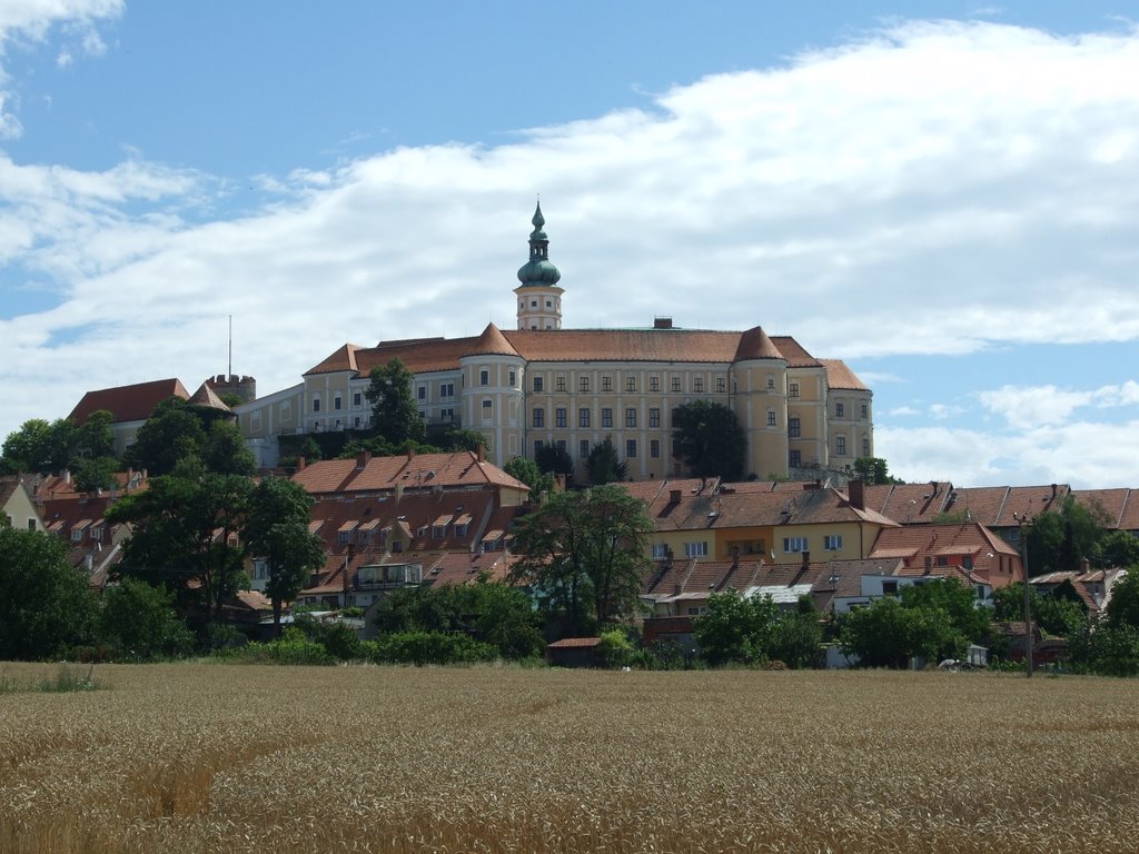 Castle in Mikluov by Bartek Drążczyk