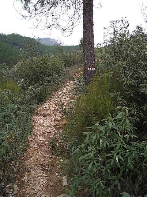 Camino Villaralto ( Los Pedroches) - Guadalupe. Señal de GR en la última etapa: Logrosán - Cañamero - Guadalupe by viajeroandaluz