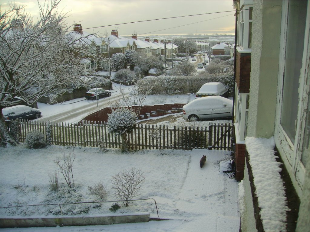 Snow view from rumney across the channel by selliott