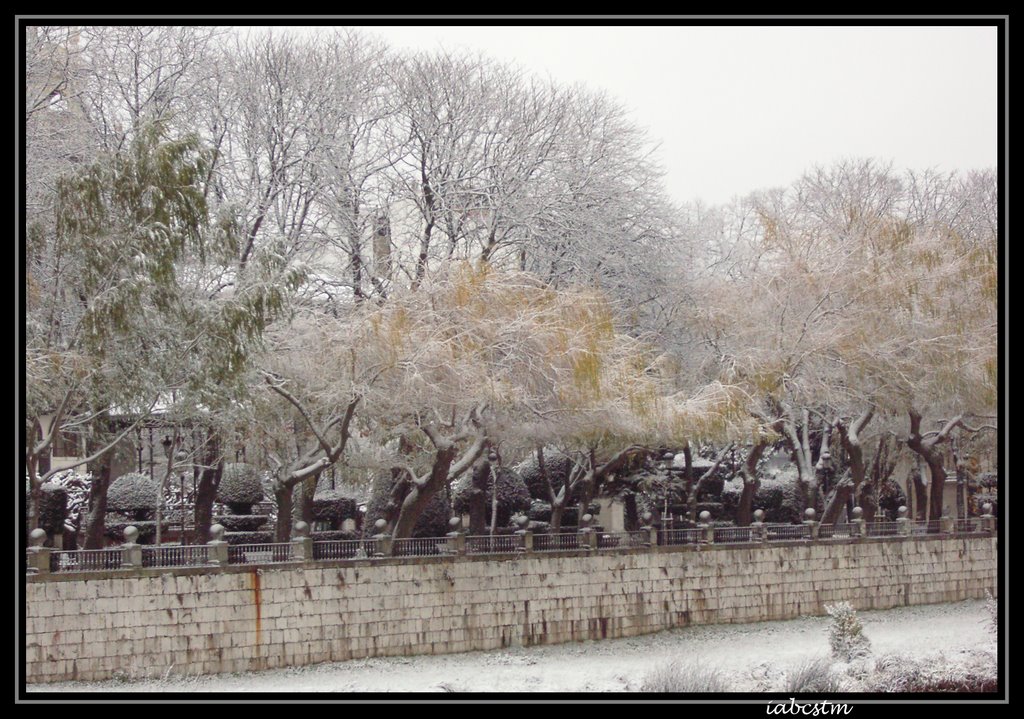 Espolón en Otoño by Iabcs-elperdido