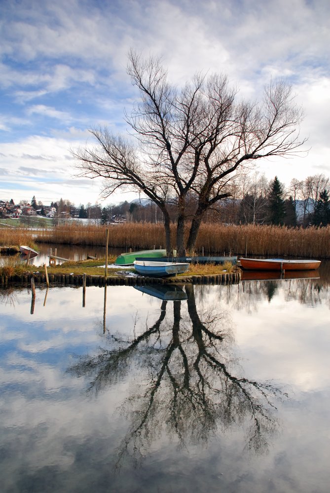 Winter on the Lake by KasiaD