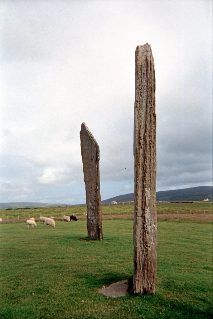 Standing Stones with Sheep! by mitchfisher