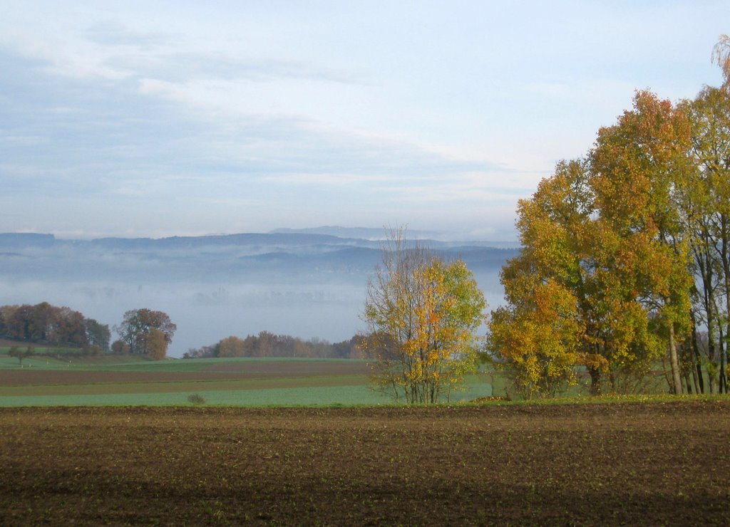 Blick auf Untersee by Trudy B.