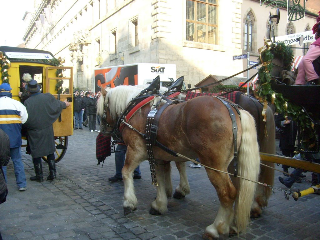 Nürnberg Christkindlmarkt 2008 by MikeWat1