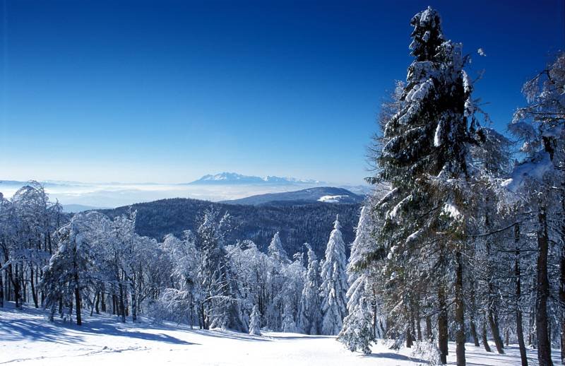 Widok z Jaworzyny na Tatry by Paweł Klasa ©