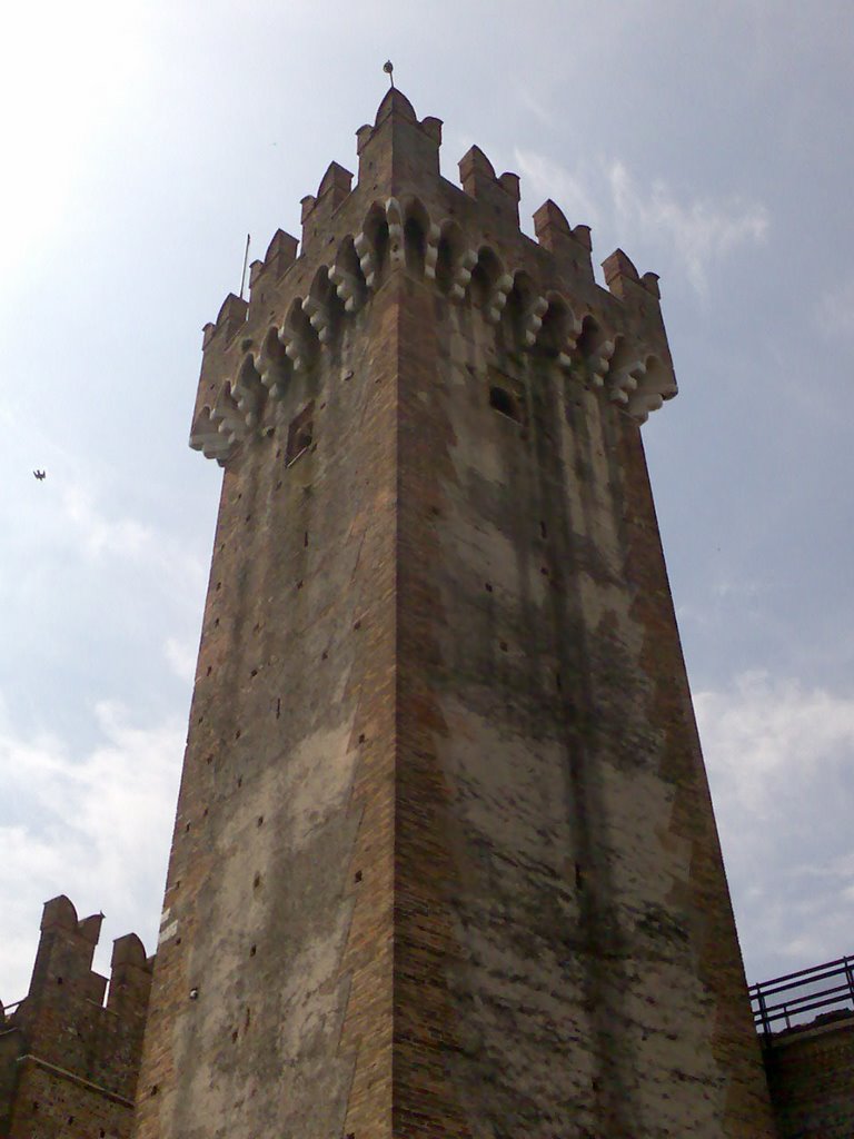 La torre centrale del castello Scaligero by mirtillause