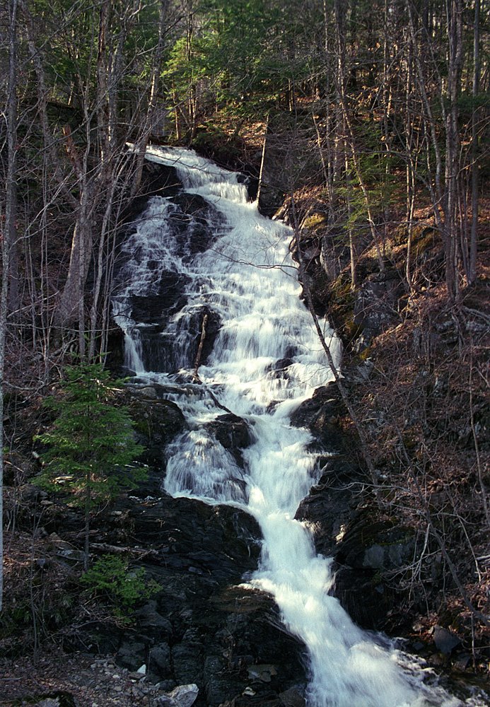 Woodbury Falls by Dean Goss