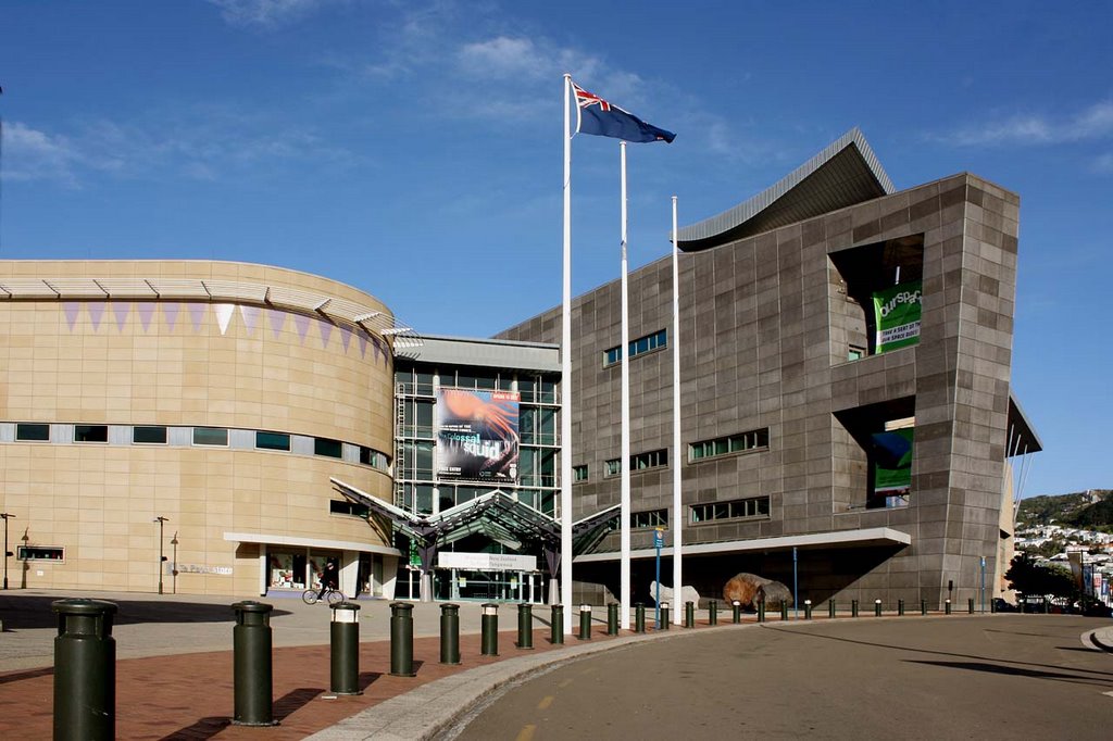 National Museum - Te Papa - Colossal Squid Exhibition by Fritz Schöne