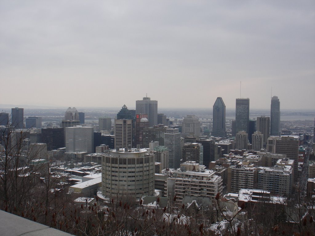 Panorama de Montreal by margui1