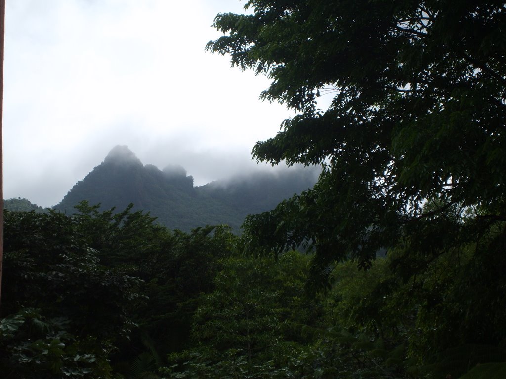 Sabana, Luquillo, Puerto Rico by holmhei