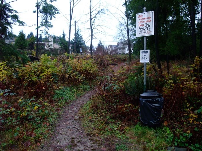 Cates Park Upper Trail Dec 2 2008 by c2100