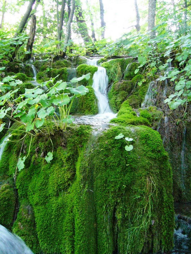 Plitvice by duri