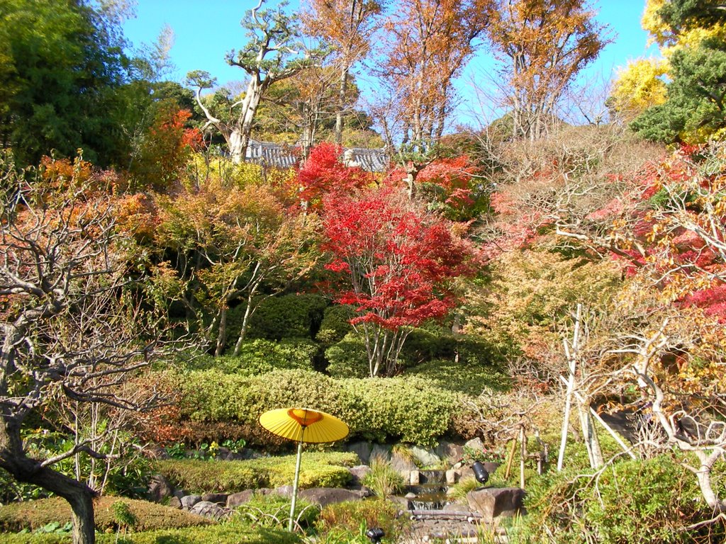 ☆Japanese style garden (Hase Temple)☆ by Axl Bach