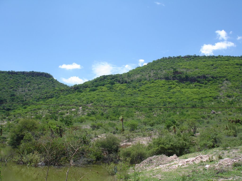 A las faldas de cerro Calvillo by eL rEVoLUcIOnArIO