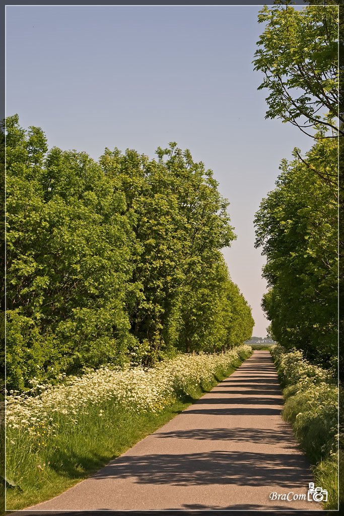 Sint Christoffeldijk, Sommelsdijk by Bram van Broekhoven