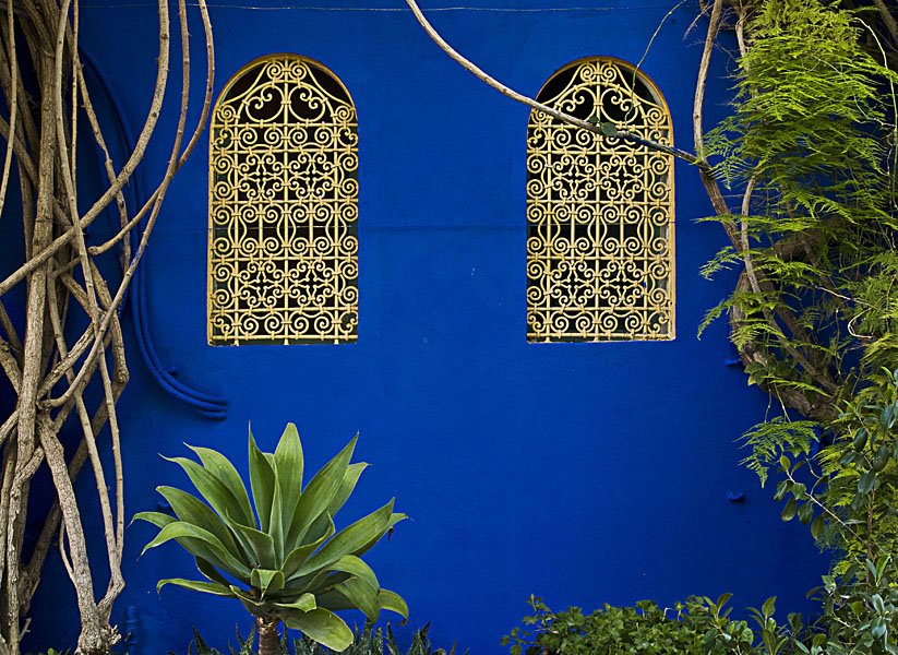 Dans les jardins de Majorelle by Guy Malet