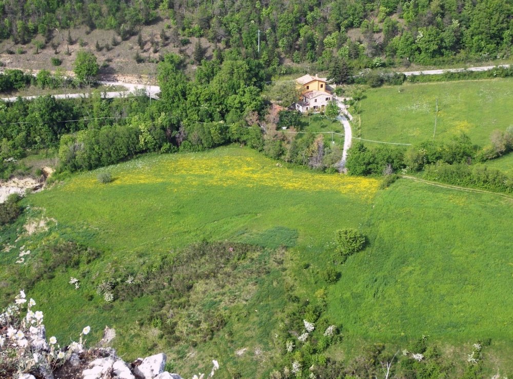 Campagna ai piedi di San Leo by lucabellincioni