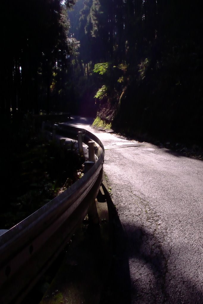 陣馬街道（陣馬山登山道） by irtsgeds