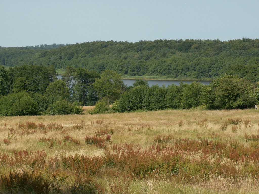 Blick auf den Westensee vom Dorfplatz Wrohe, 06.2008 by StefanFFM