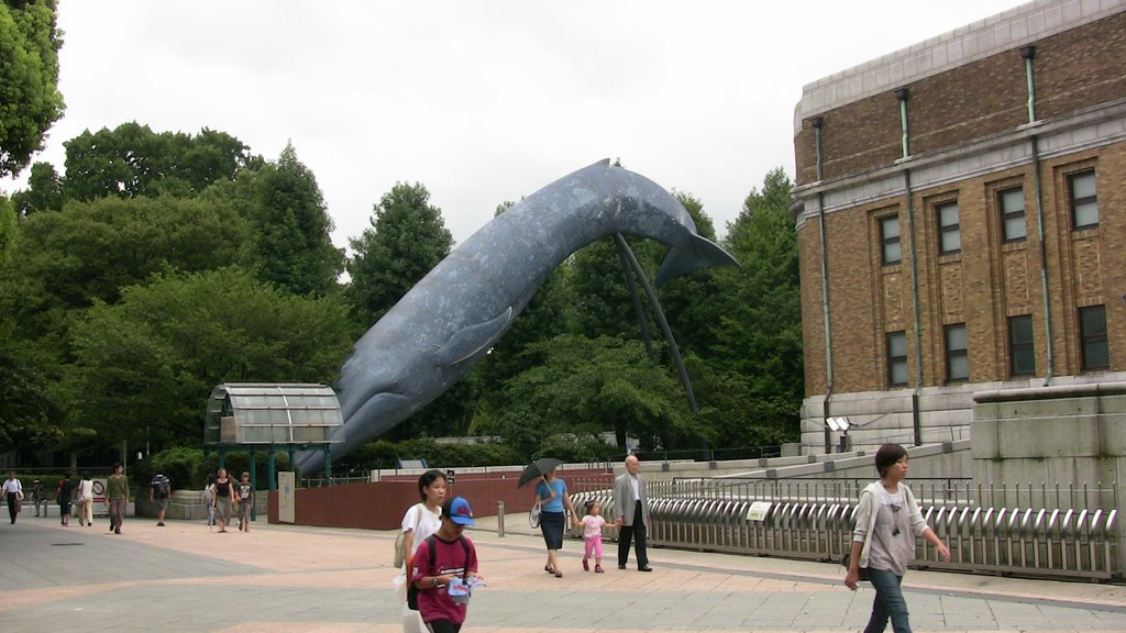 Természettudomany muzeum (Tokyo) by FedorTamas (フェダー　タマシ…