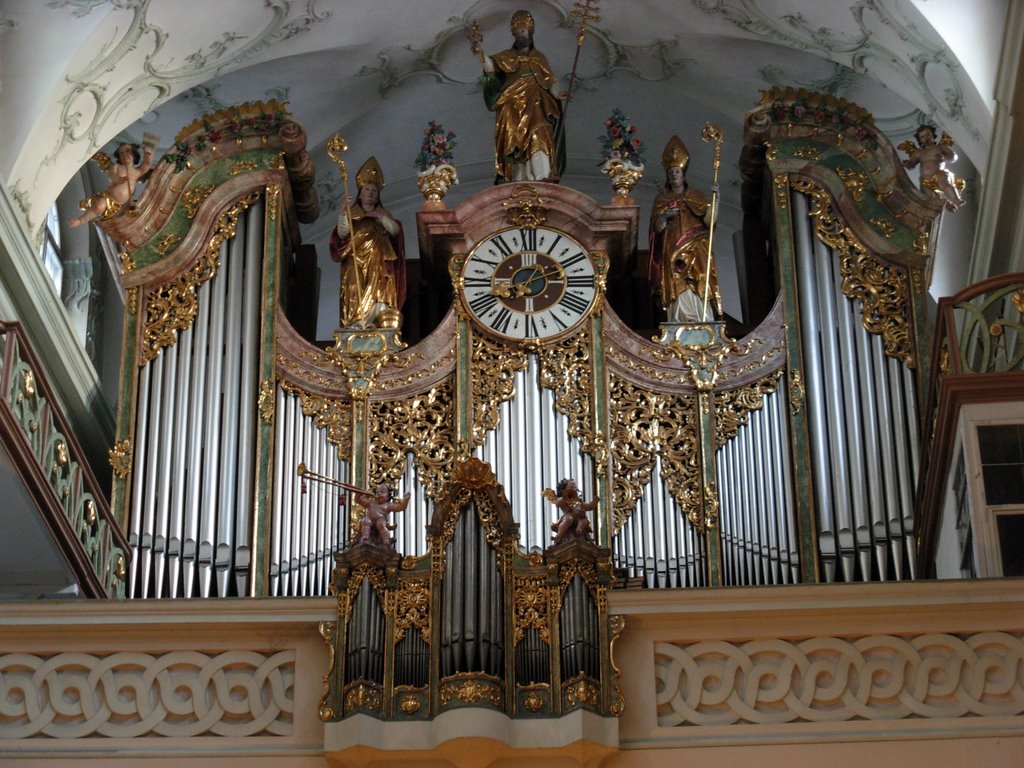 Stiftkirche St. Peter, Salzburg by Alessandro Guarguagl…