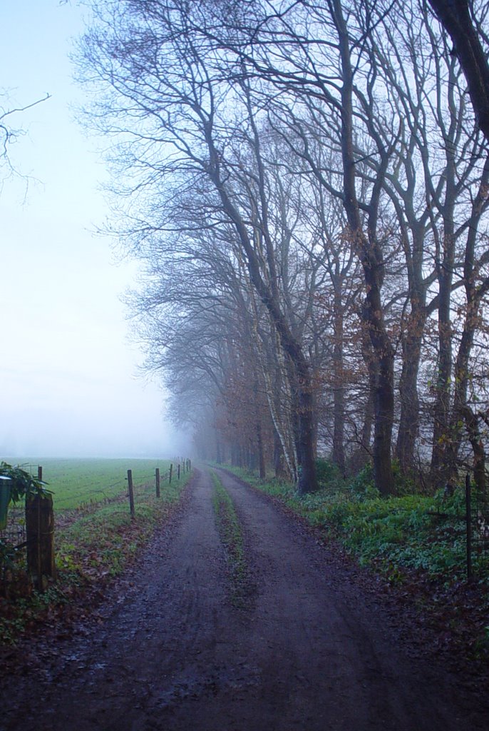 Veenendaal buitengebied by margriet wienecke