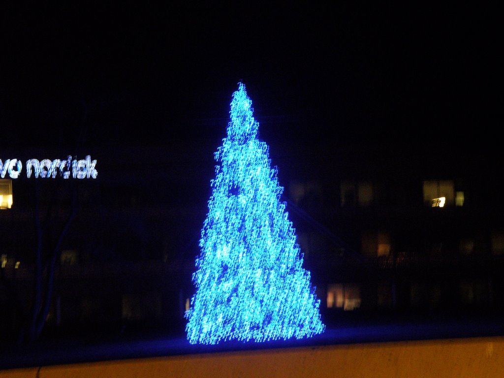 Beautiful Christmas Tree In The Night Lit With Blue Lights, Princeton, New Jersey, USA. by Nasir Uddin