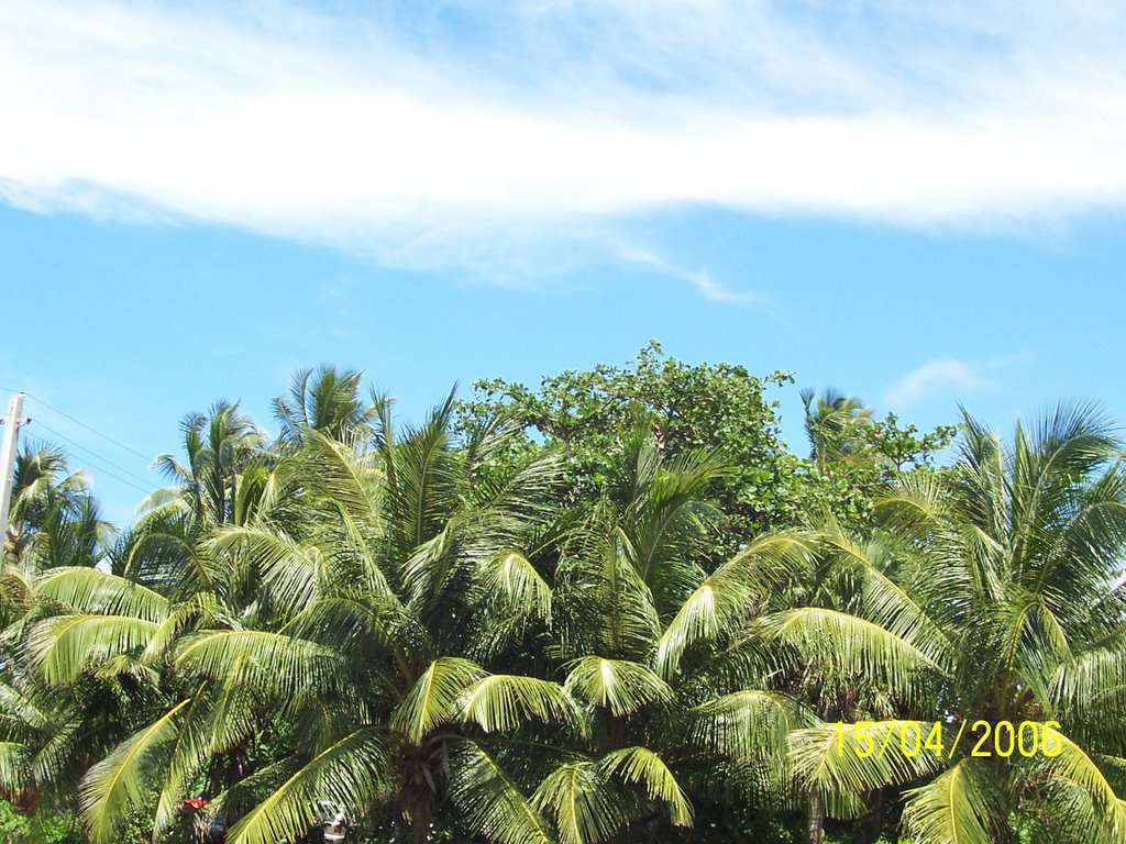 Nice scenery... (Jobos, Isabela, PR) by Alejandro J. Bonilla