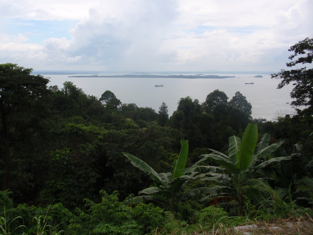 Gloomy Sea View From Trig Hill by kkboy