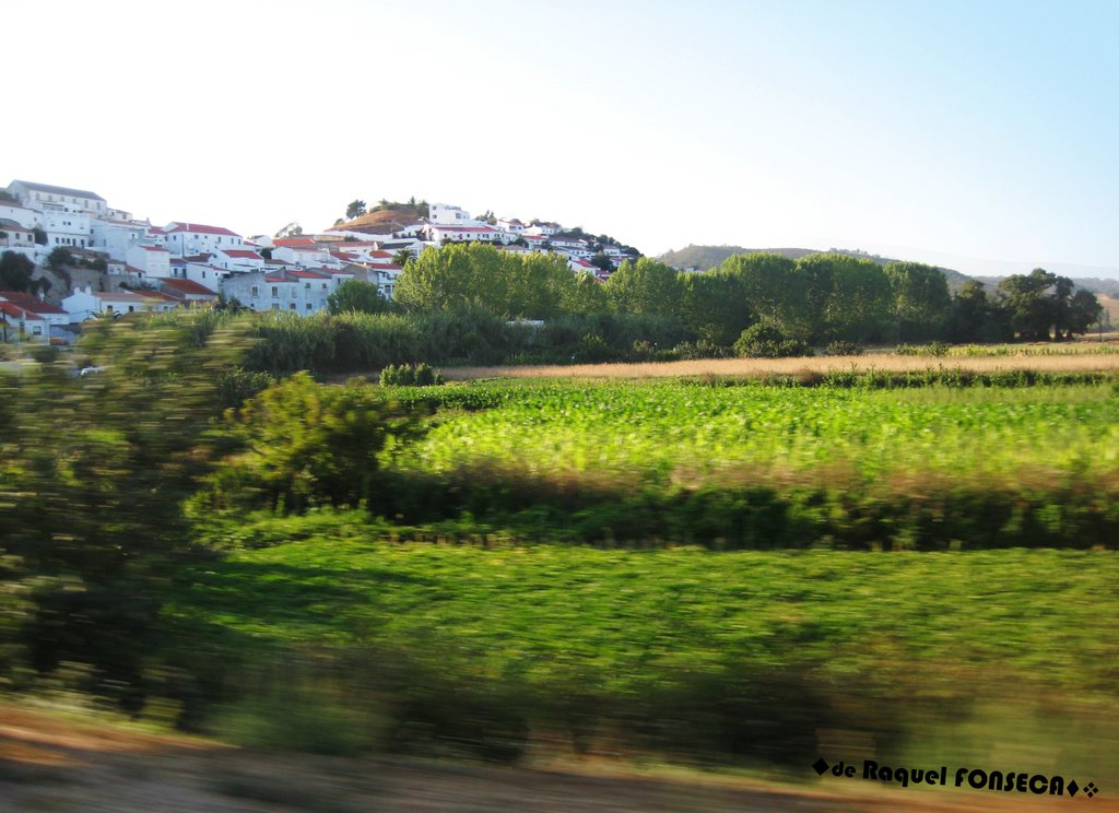 Estrada entre o novo aljezur e a vila velha by fonseca fonseca