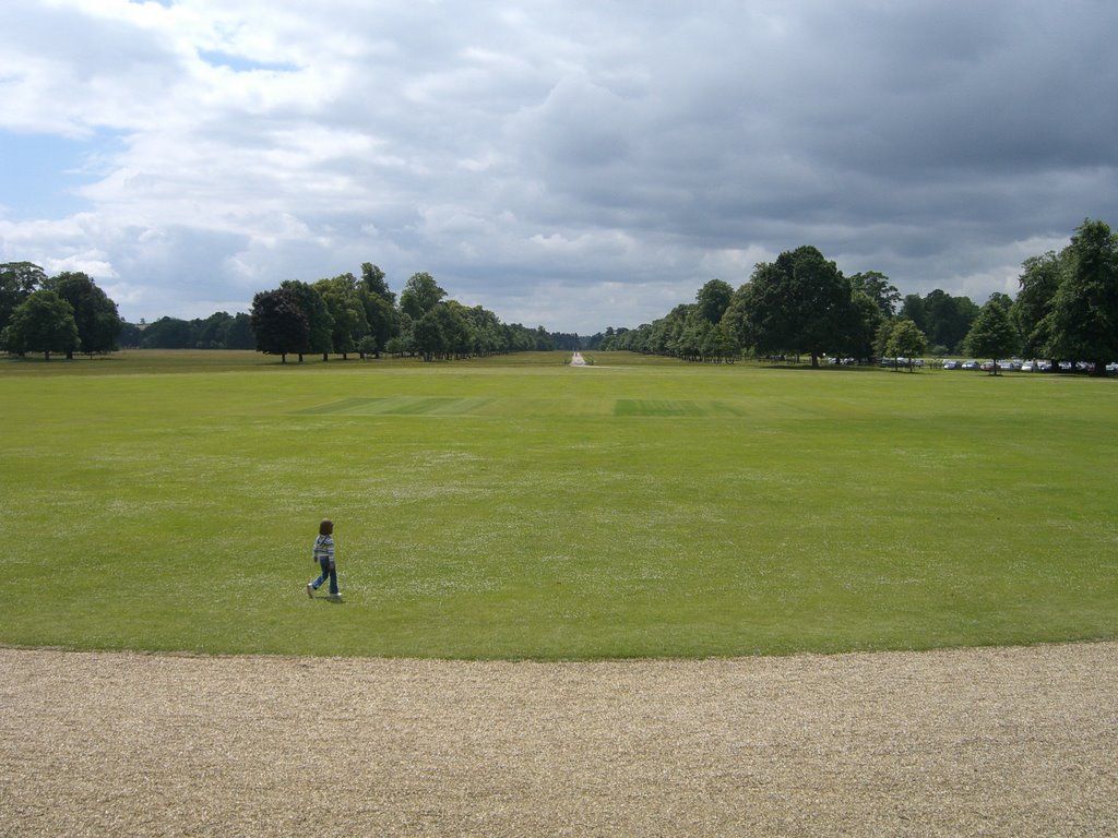 View from Belton House by PJMarriott