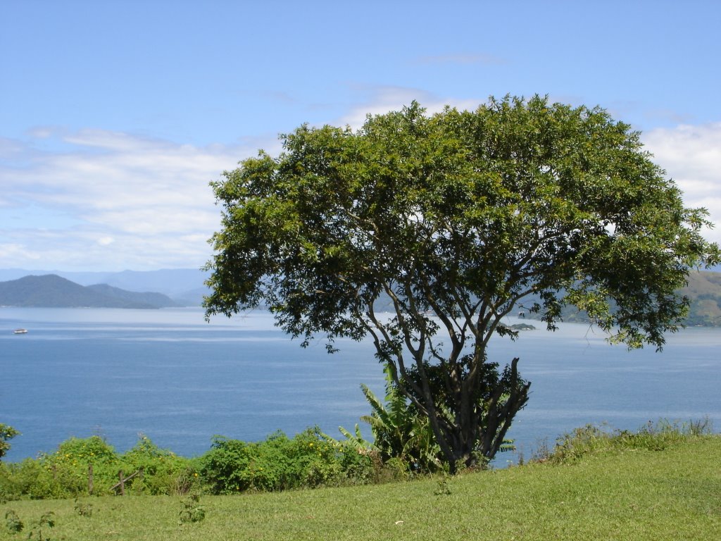 Vista do Monumento, Ponta Leste, Angra dos Reis by Paulo Roberto de Car…