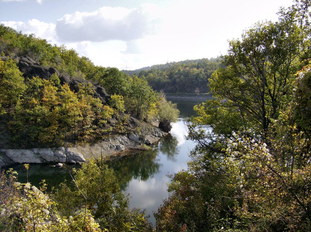 Borsko jezero by milancha