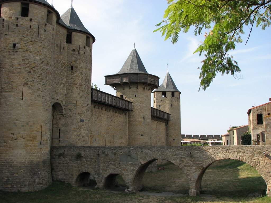 Les remparts de la citée de Carcassonne by DESRENTES ERIC