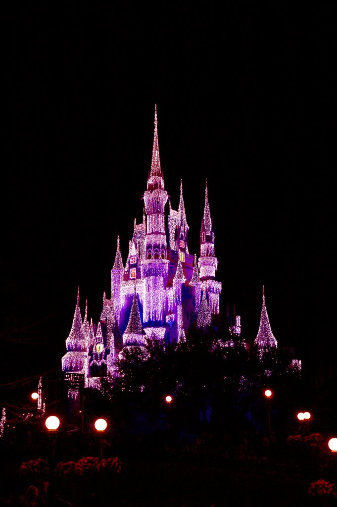 Cinderella's Castle by thebeamer