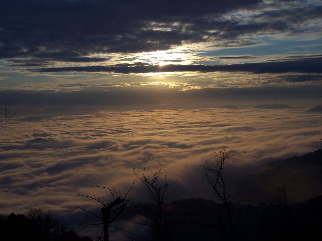 La Pianura di Lucca sotto la nebbia al tramonto by gian luca bucci