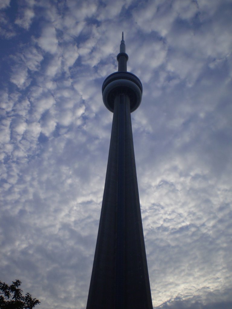 CN tower by claraycarmen